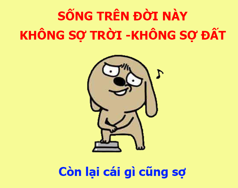 Cứng quá dòi