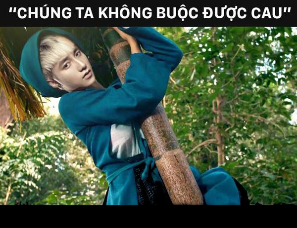 Chúng ta không buộc được cau