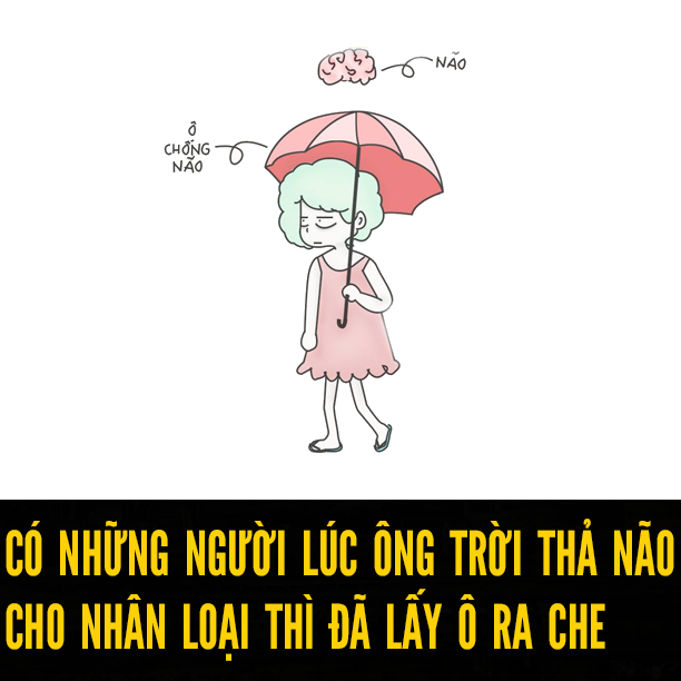 Cậu lấy ô che não rồi à?