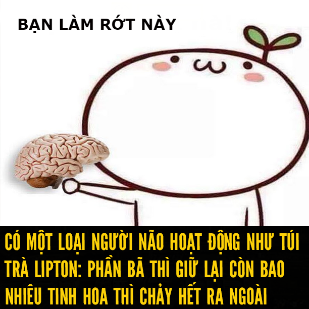 Não hoạt động như túi trà lipton