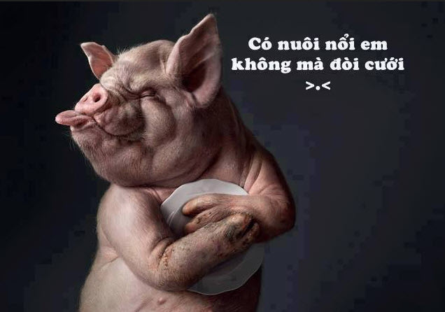 Muốn em ko nè