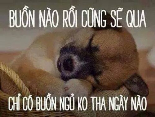 Quá chính xác trong 1 buổi chiều mưa =.=