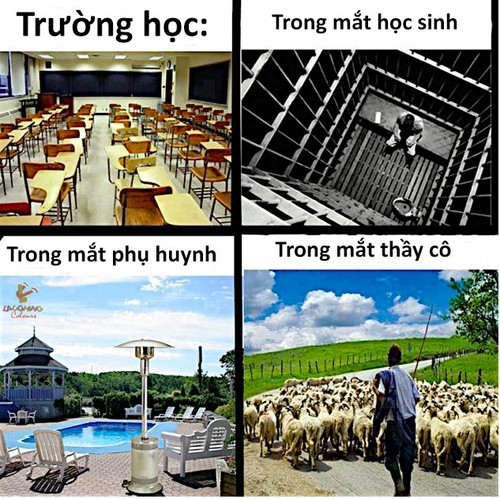 Trong mắt thầy cô =))))))