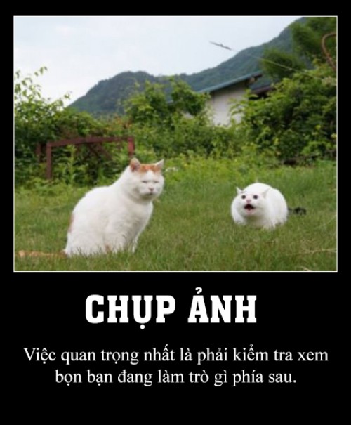 Chuẩn =))