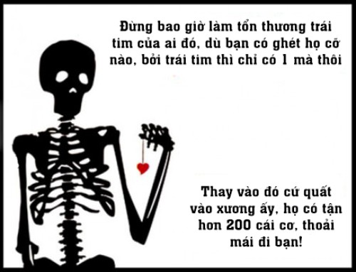 Đừng bao giờ tổn thương trái tim ai đó...