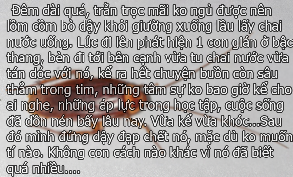 Chỉ vì nó đã biết quá nhiều :))))