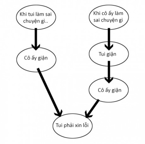 Rốt cuộc vẫn phải xin lỗi...