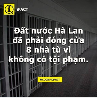 Ở Việt Nam thì sao nhỉ