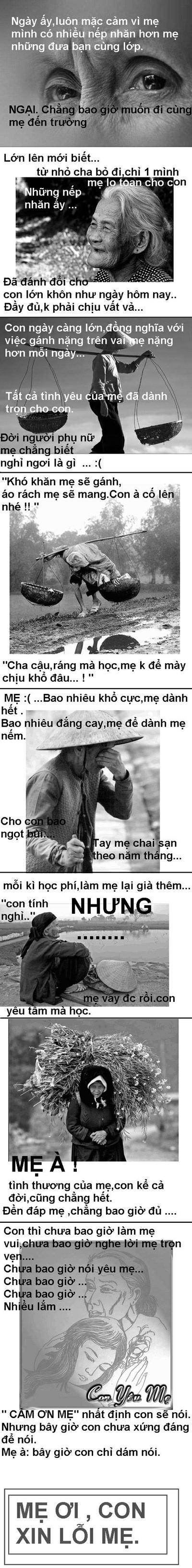 Cảm nhận