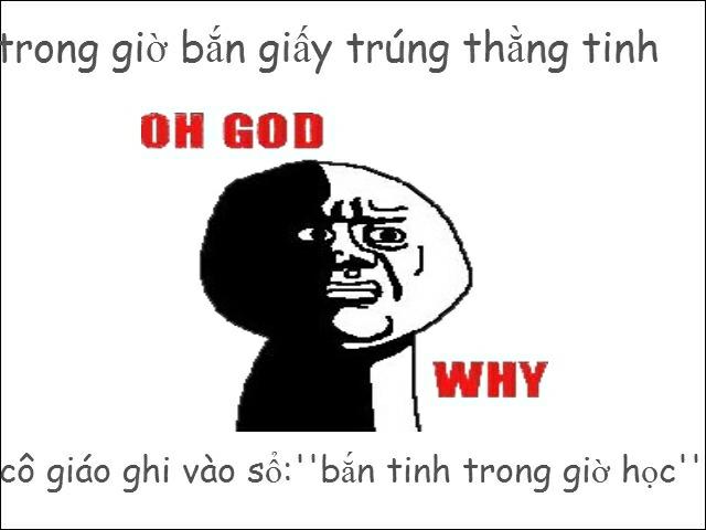 Công bằng Vkl